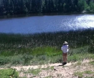 A person overlooking a small lake on a sunny day.