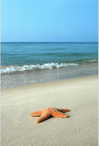 Star lying on the beach next to waves of water