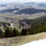A green field of trees and rocky mountains called Lemhi Pass.