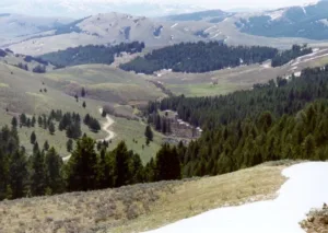 A green field of trees and rocky mountains called Lemhi Pass.