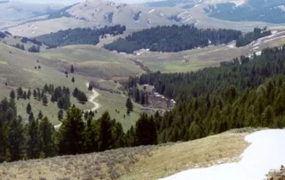 A green field of trees and rocky mountains called Lemhi Pass.